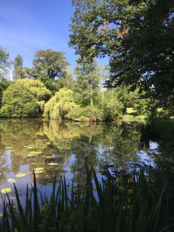 Le Gite Du Petit Renard: A Tranquil Gite With Pool Oradour-Saint-Genest Exterior photo